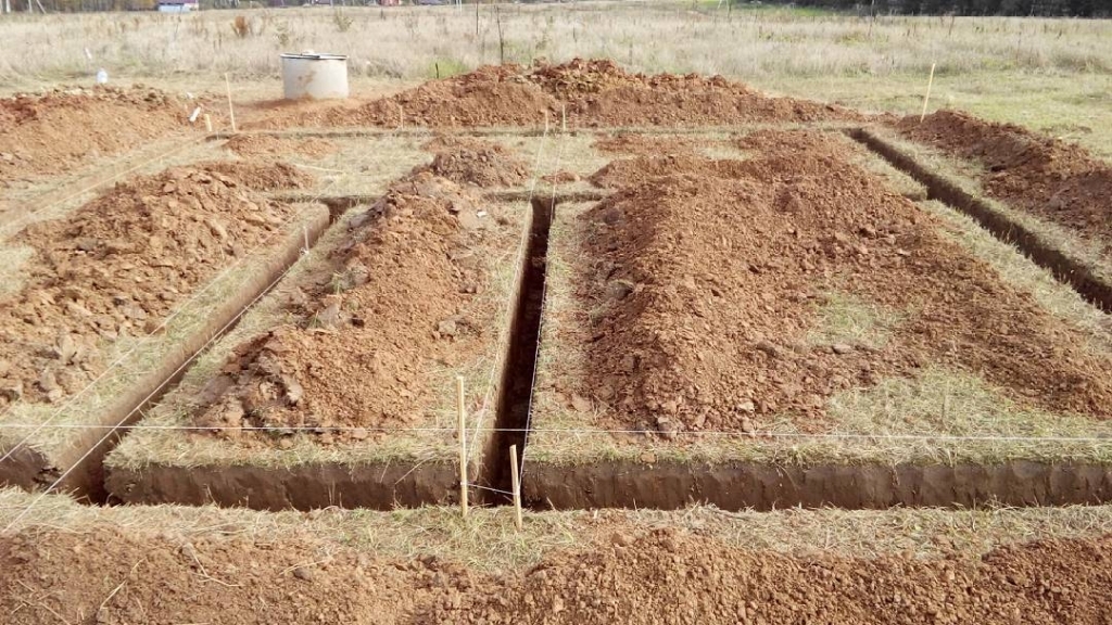Qazıntı
